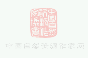 男士洗護(hù)行業(yè)新趨勢(shì)：個(gè)性化與高端化！