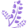 洗護(hù)產(chǎn)品