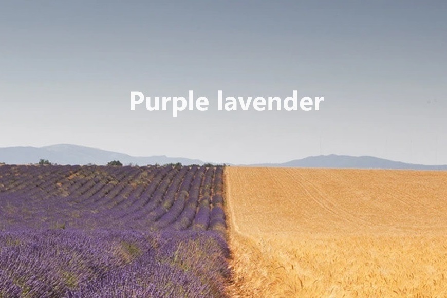 Purplelavender啫喱，輕盈造型，打造男士自信風(fēng)采每一天